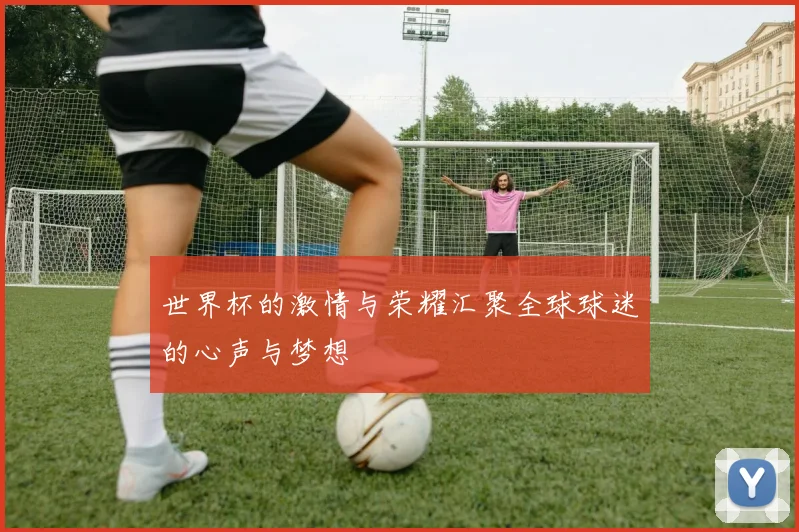世界杯的激情与荣耀汇聚全球球迷的心声与梦想