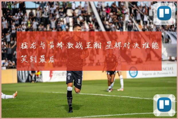 猛龙与黄蜂激战正酣 星辉对决谁能笑到最后