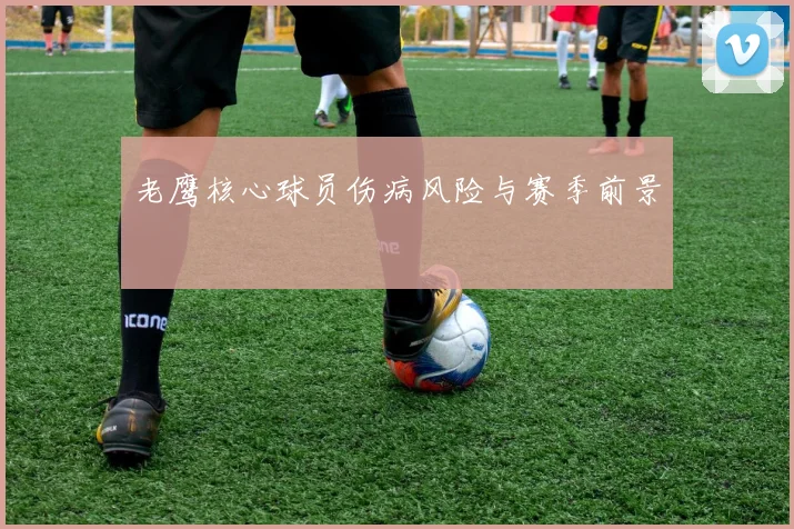 老鹰核心球员伤病风险与赛季前景