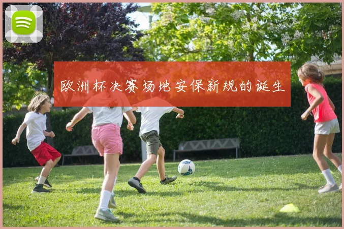 欧洲杯决赛场地安保新规的诞生