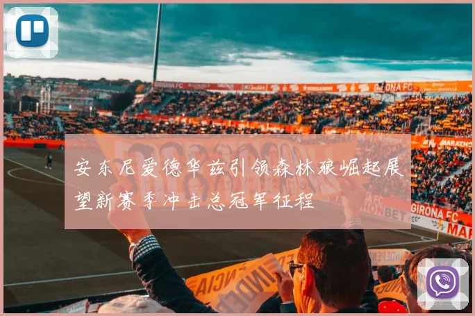 安东尼爱德华兹引领森林狼崛起展望新赛季冲击总冠军征程